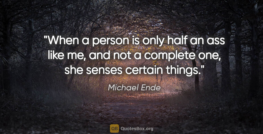 Michael Ende quote: "When a person is only half an ass like me, and not a complete..."