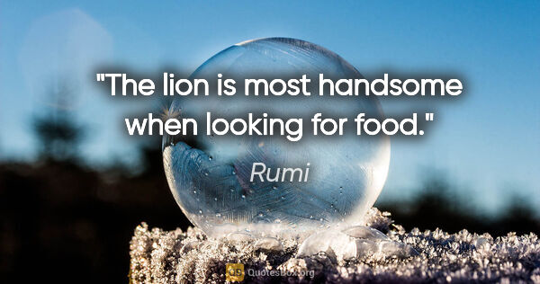 Rumi quote: "The lion is most handsome when looking for food."