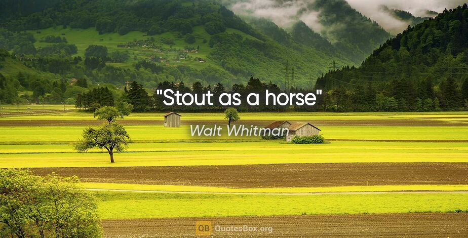 Walt Whitman quote: "Stout as a horse"