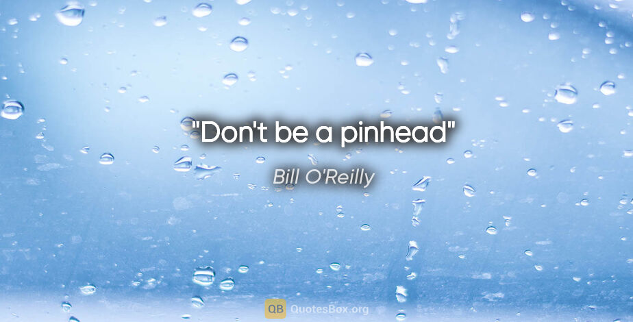Bill O'Reilly quote: "Don't be a pinhead"