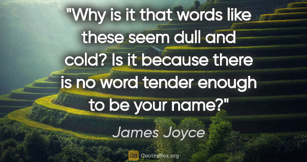 James Joyce quote: "Why is it that words like these seem dull and cold? Is it..."
