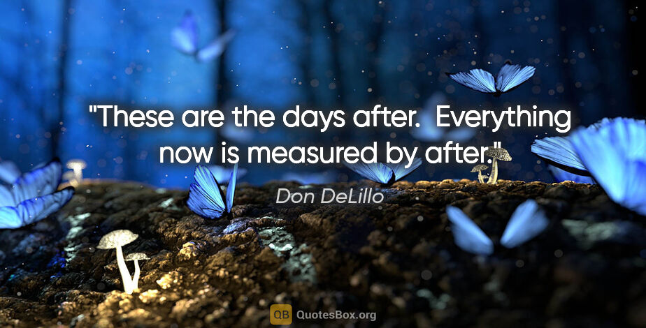 Don DeLillo quote: "These are the days after.  Everything now is measured by after."
