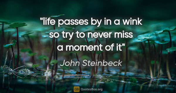 John Steinbeck quote: "life passes by in a wink so try to never miss a moment of it"