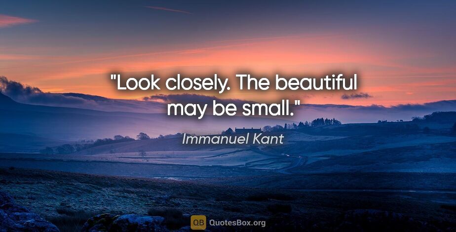 Immanuel Kant quote: "Look closely. The beautiful may be small."