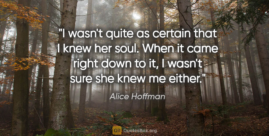 Alice Hoffman quote: "I wasn't quite as certain that I knew her soul. When it came..."