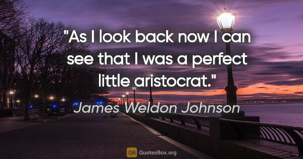 James Weldon Johnson quote: "As I look back now I can see that I was a perfect little..."