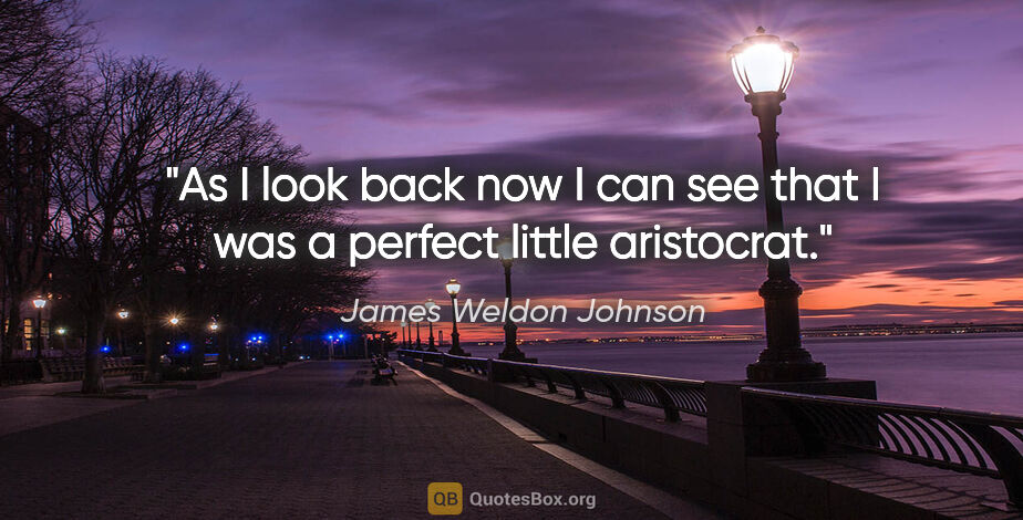 James Weldon Johnson quote: "As I look back now I can see that I was a perfect little..."