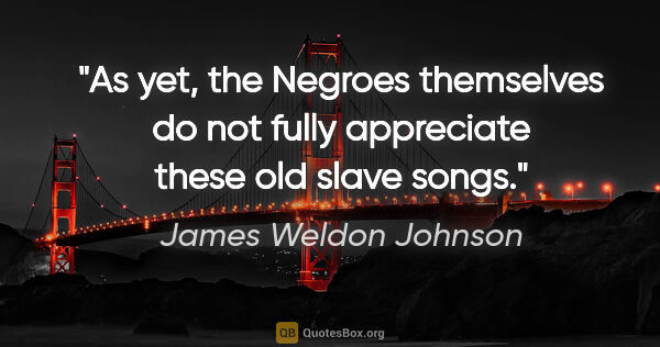 James Weldon Johnson quote: "As yet, the Negroes themselves do not fully appreciate these..."