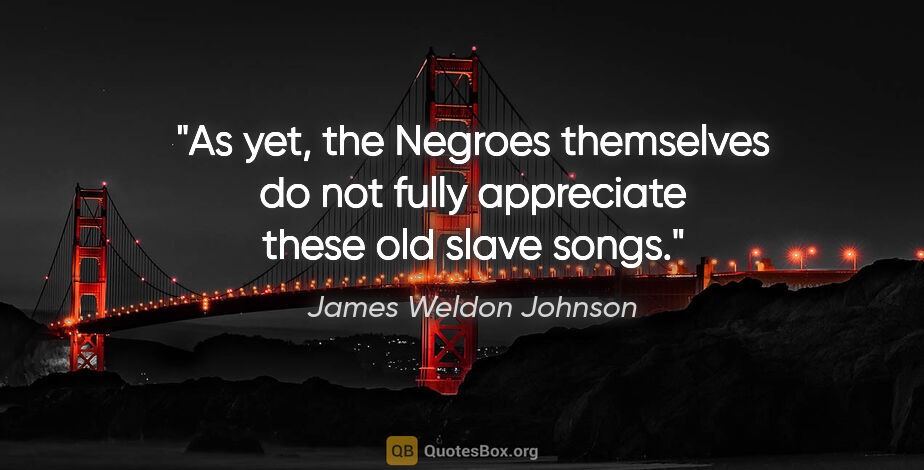 James Weldon Johnson quote: "As yet, the Negroes themselves do not fully appreciate these..."