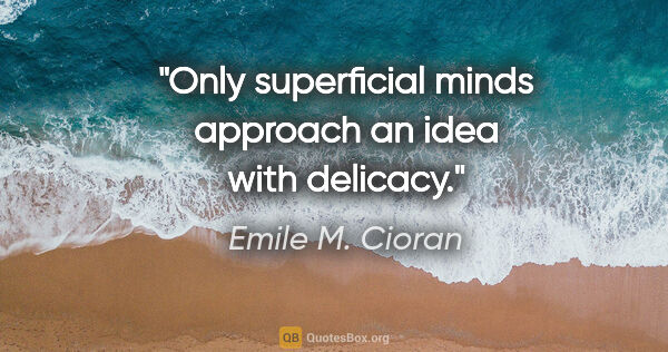 Emile M. Cioran quote: "Only superficial minds approach an idea with delicacy."