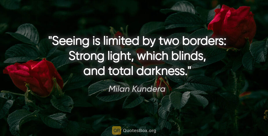 Milan Kundera quote: "Seeing is limited by two borders: Strong light, which blinds,..."