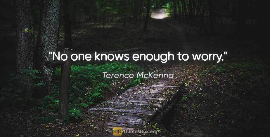 Terence McKenna quote: "No one knows enough to worry."