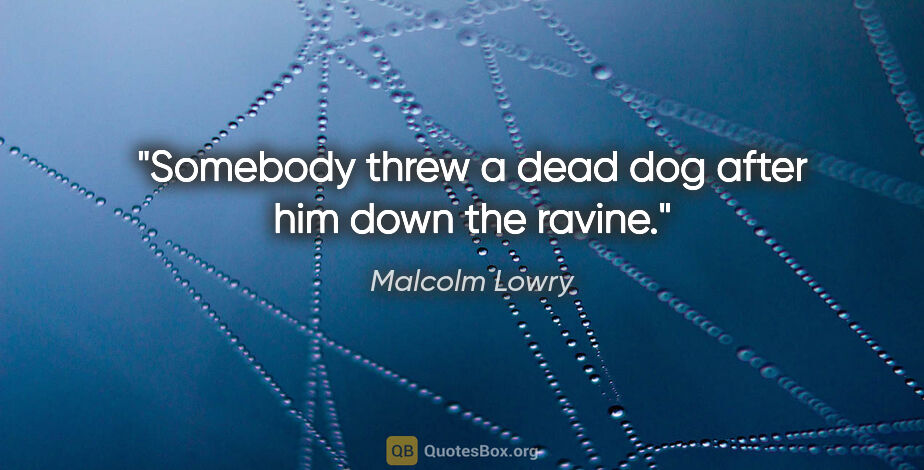Malcolm Lowry quote: "Somebody threw a dead dog after him down the ravine."