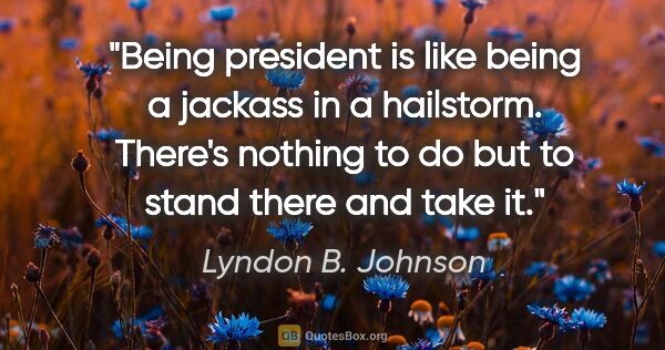 Lyndon B. Johnson quote: "Being president is like being a jackass in a hailstorm...."