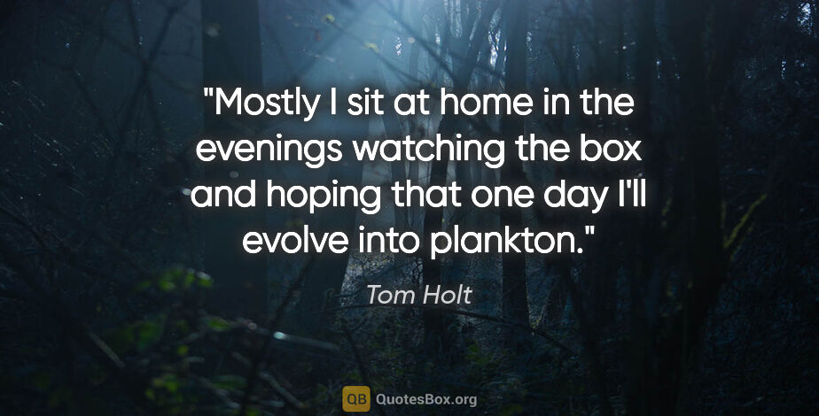 Tom Holt quote: "Mostly I sit at home in the evenings watching the box and..."