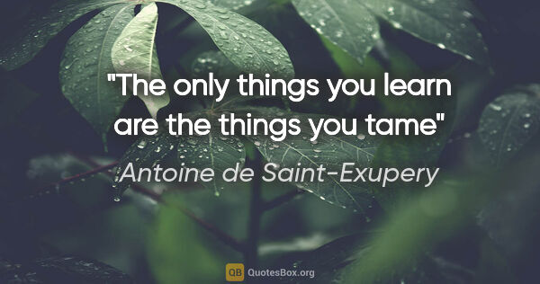 Antoine de Saint-Exupery quote: "The only things you learn are the things you tame"