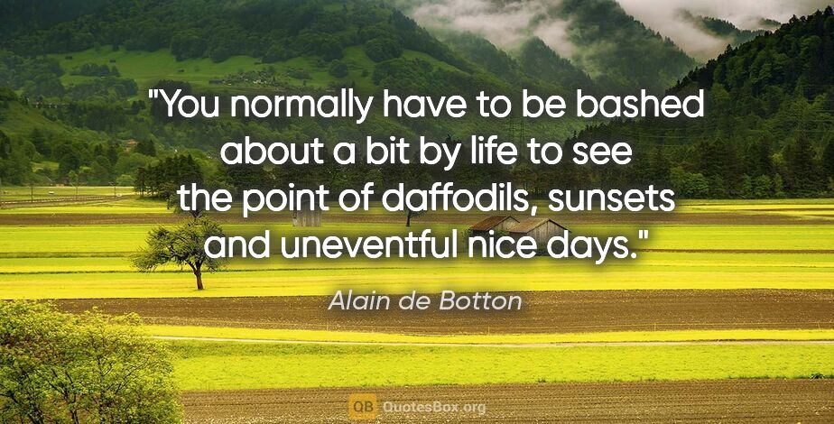 Alain de Botton quote: "You normally have to be bashed about a bit by life to see the..."