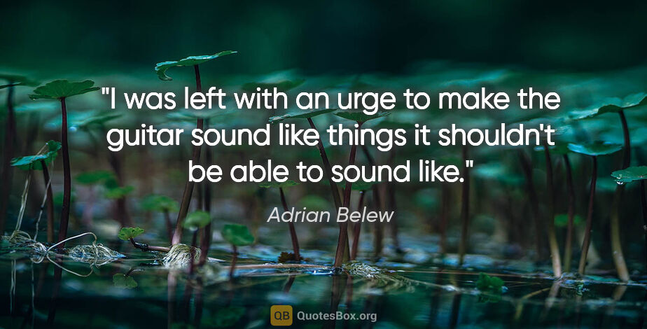 Adrian Belew quote: "I was left with an urge to make the guitar sound like things..."