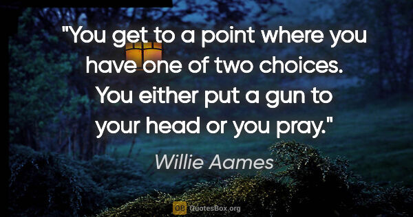 Willie Aames quote: "You get to a point where you have one of two choices. You..."