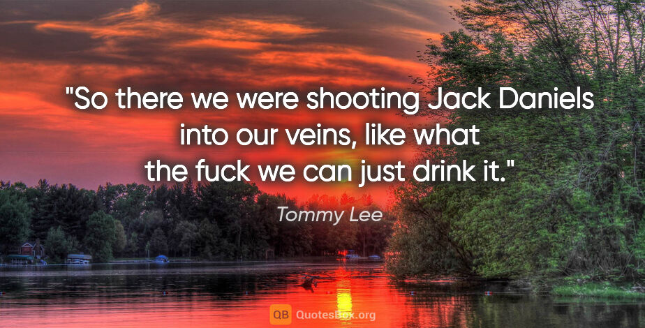 Tommy Lee quote: "So there we were shooting Jack Daniels into our veins, like..."