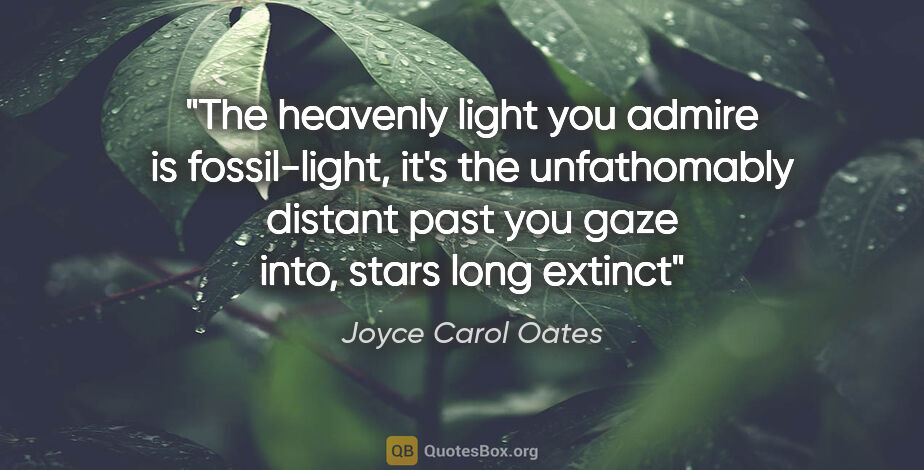 Joyce Carol Oates quote: "The heavenly light you admire is fossil-light, it's the..."