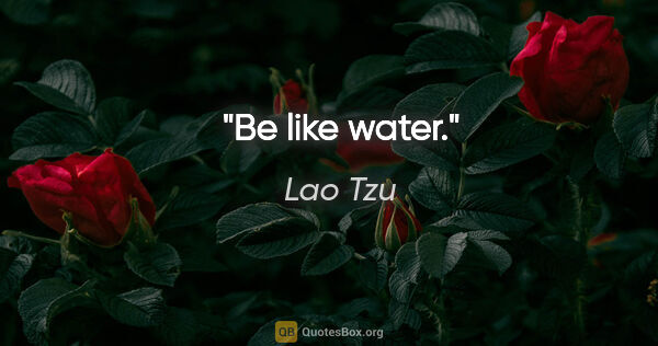 Lao Tzu quote: "Be like water."