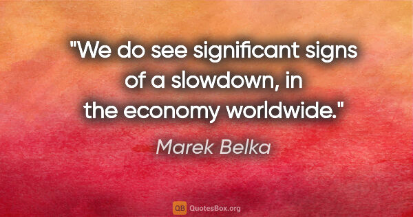 Marek Belka quote: "We do see significant signs of a slowdown, in the economy..."