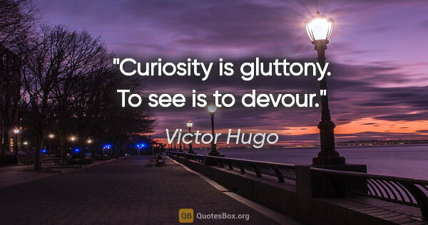 Victor Hugo quote: "Curiosity is gluttony. To see is to devour."