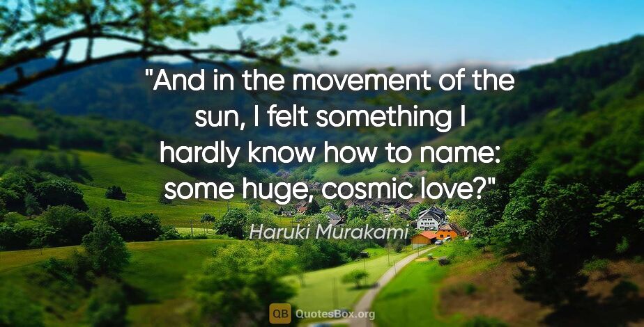 Haruki Murakami quote: "And in the movement of the sun, I felt something I hardly know..."