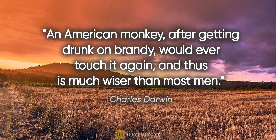 Charles Darwin quote: "An American monkey, after getting drunk on brandy, would ever..."