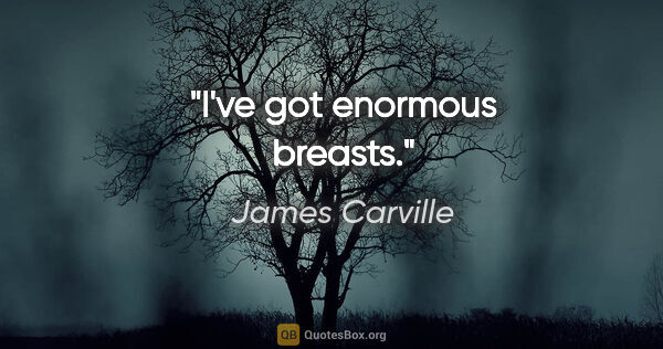 James Carville quote: "I've got enormous breasts."