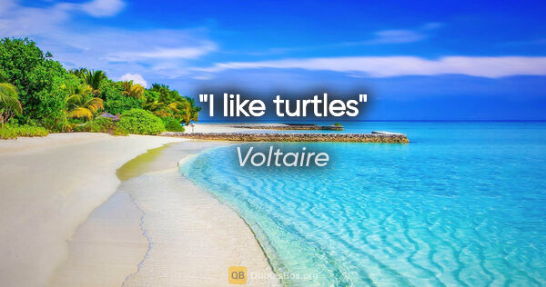 Voltaire quote: "I like turtles"