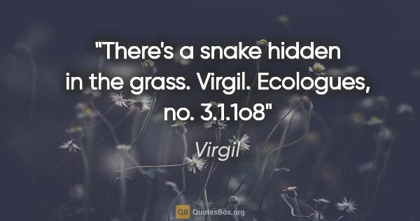 Virgil quote: "There's a snake hidden in the grass. Virgil. Ecologues, no...."