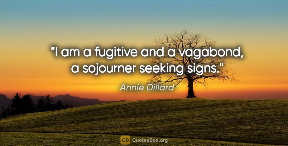 Annie Dillard quote: "I am a fugitive and a vagabond, a sojourner seeking signs."