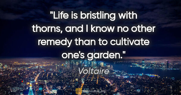 Voltaire quote: "Life is bristling with thorns, and I know no other remedy than..."