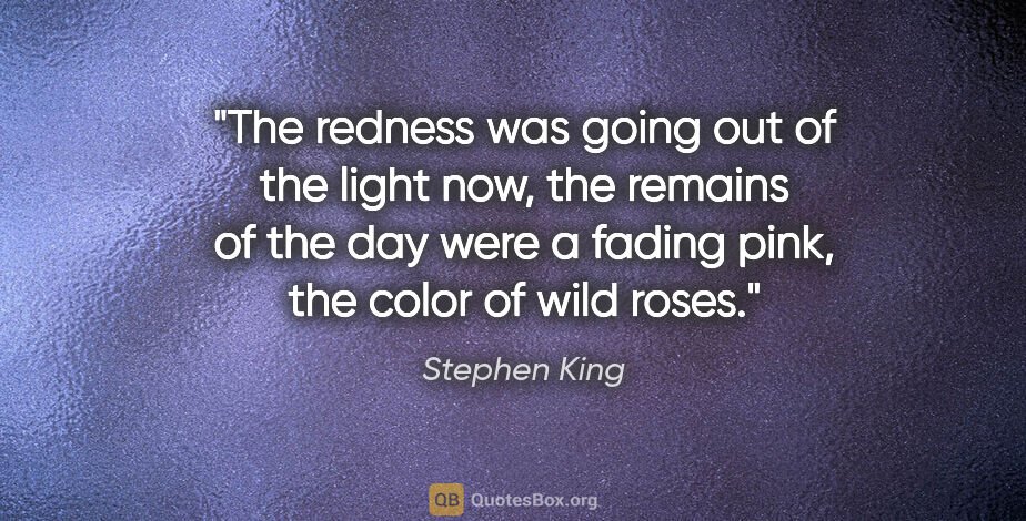 Stephen King quote: "The redness was going out of the light now, the remains of the..."