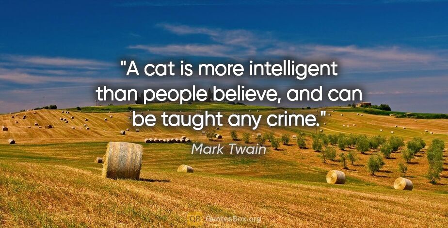 Mark Twain quote: "A cat is more intelligent than people believe, and can be..."