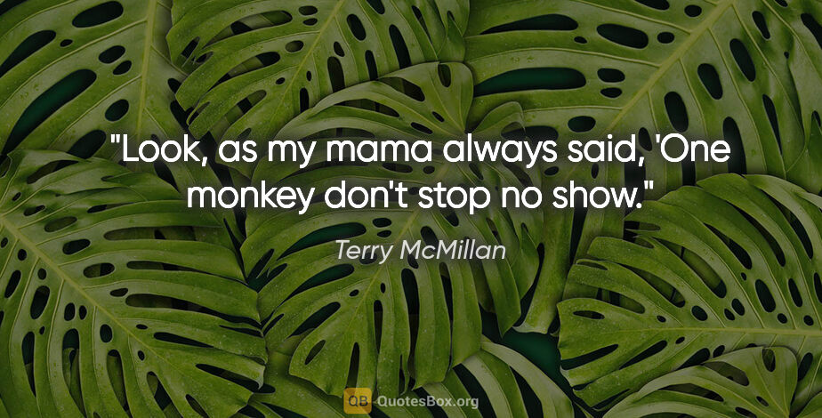 Terry McMillan quote: "Look, as my mama always said, 'One monkey don't stop no show."