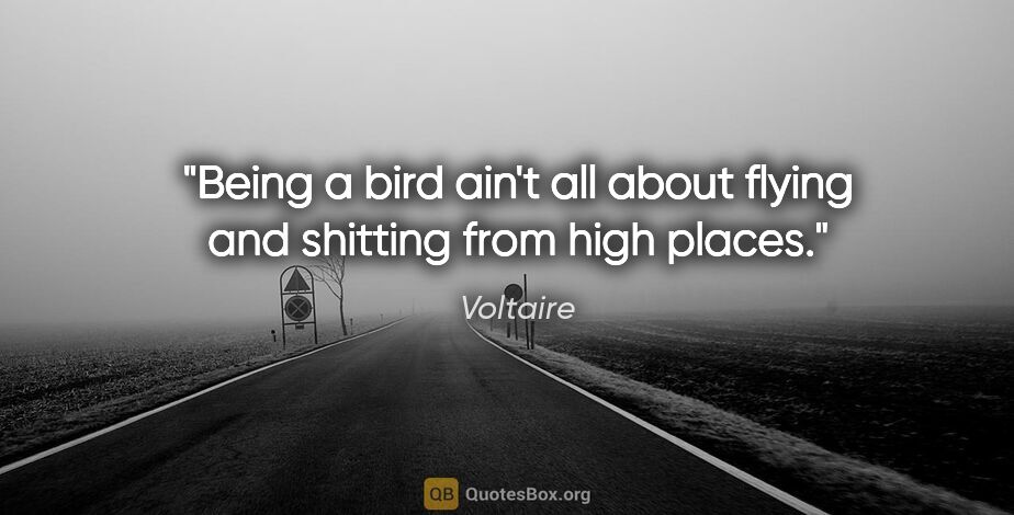 Voltaire quote: "Being a bird ain't all about flying and shitting from high..."