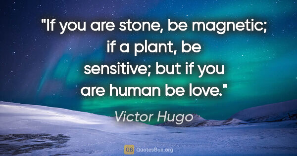 Victor Hugo quote: "If you are stone, be magnetic; if a plant, be sensitive; but..."