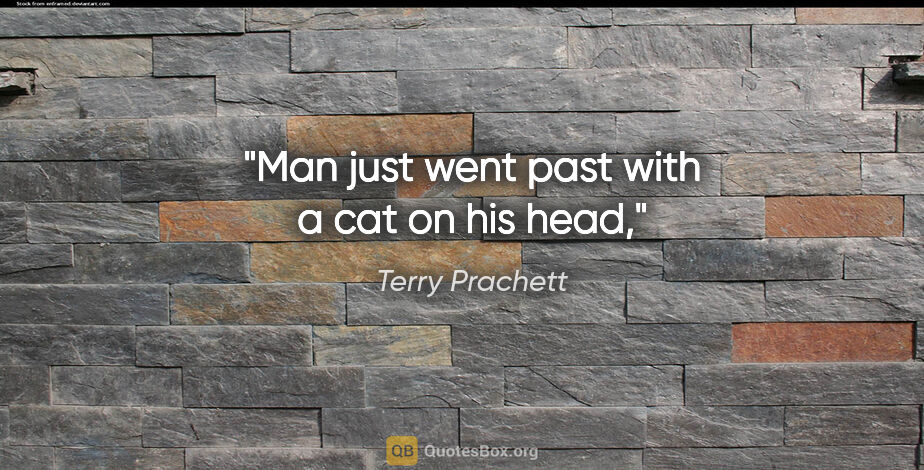 Terry Prachett quote: "Man just went past with a cat on his head,"