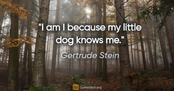 Gertrude Stein quote: "I am I because my little dog knows me."