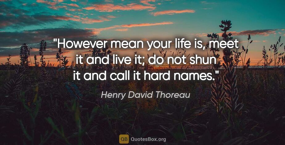 Henry David Thoreau quote: "However mean your life is, meet it and live it; do not shun it..."