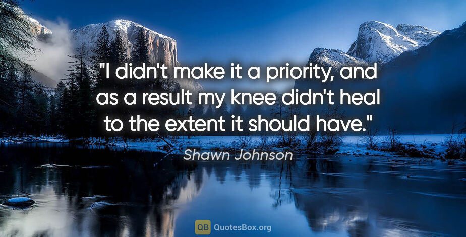 Shawn Johnson quote: "I didn't make it a priority, and as a result my knee didn't..."