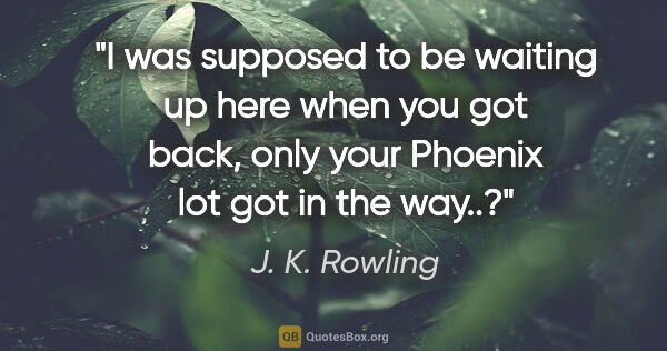 J. K. Rowling quote: "I was supposed to be waiting up here when you got back, only..."