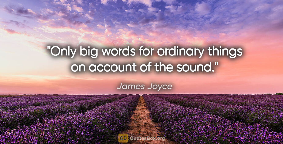 James Joyce quote: "Only big words for ordinary things on account of the sound."