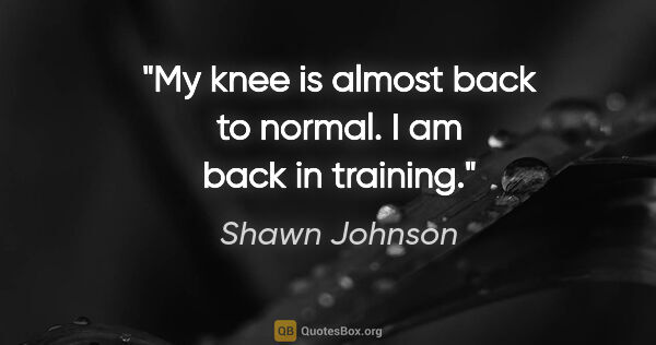 Shawn Johnson quote: "My knee is almost back to normal. I am back in training."