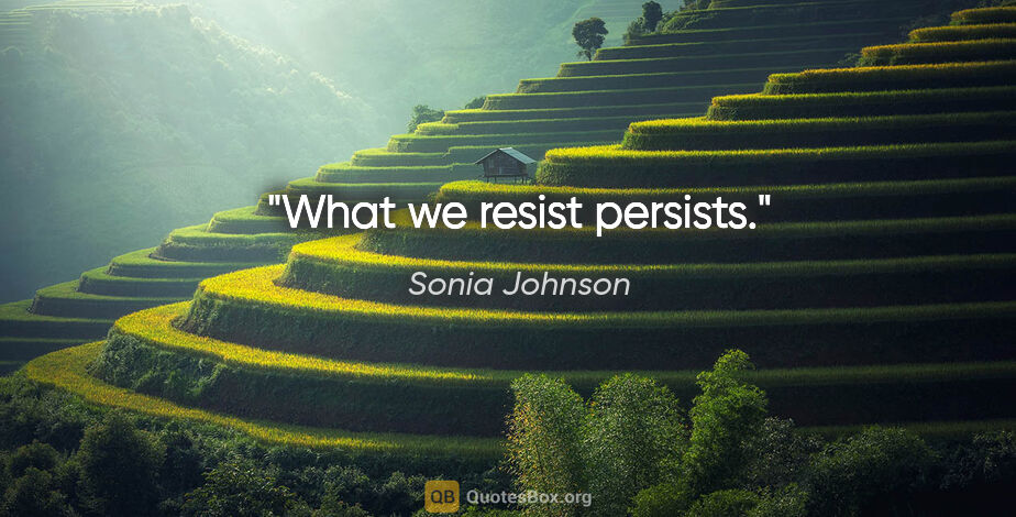 Sonia Johnson quote: "What we resist persists."