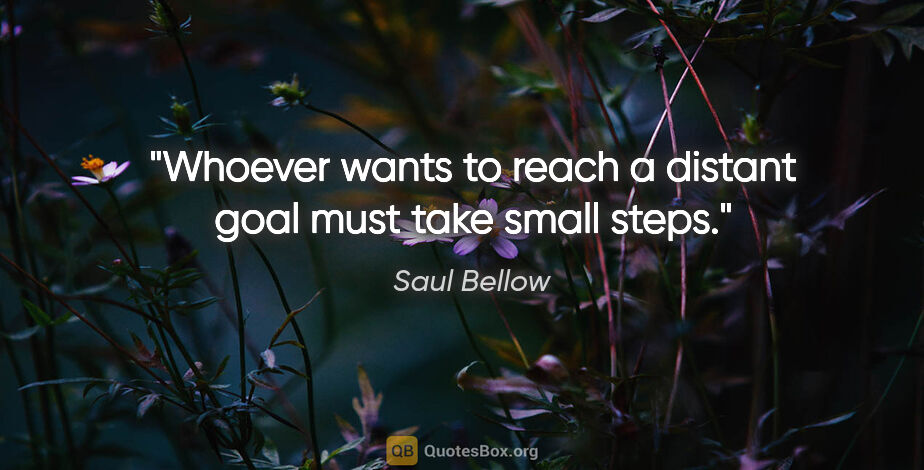 Saul Bellow quote: "Whoever wants to reach a distant goal must take small steps."