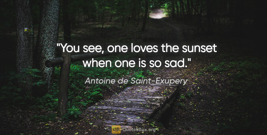 Antoine de Saint-Exupery quote: "You see, one loves the sunset when one is so sad."